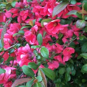 Meet your Posher, Eva